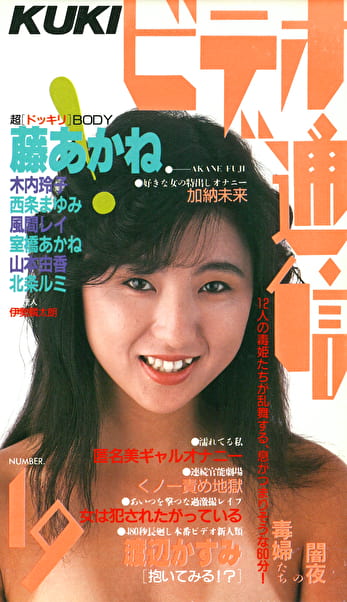 ビデオ通信 19