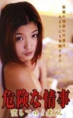 危険な情事 堕ちてゆく柔肌