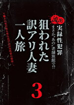 まさか“あの”老舗旅館で！？流出 実録性犯罪 下働きの男が夜な夜な忍び込む女性客の部屋･･･。狙われた訳アリ人妻一人旅 3