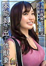 画像の説明