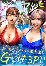 画像の説明
