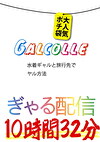 GALCOLLE 水着ギャルと旅行先でヤル方法 ぎゃる配信大人気ポチ袋 10時間32分