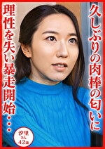 画像の説明