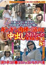 旦那のいない昼下がり、今日出会ったばかりの男のギンギン肉棒に溺れて中出しされちゃった専業主婦 30人8時間