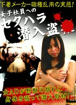 下着メーカー職権濫用の実態！女子社員へのセクハラ潜入