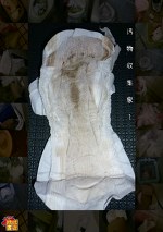 汚物収集家 1