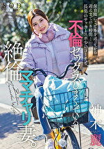画像の説明