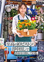 画像の説明