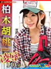 柏木胡桃 作品集