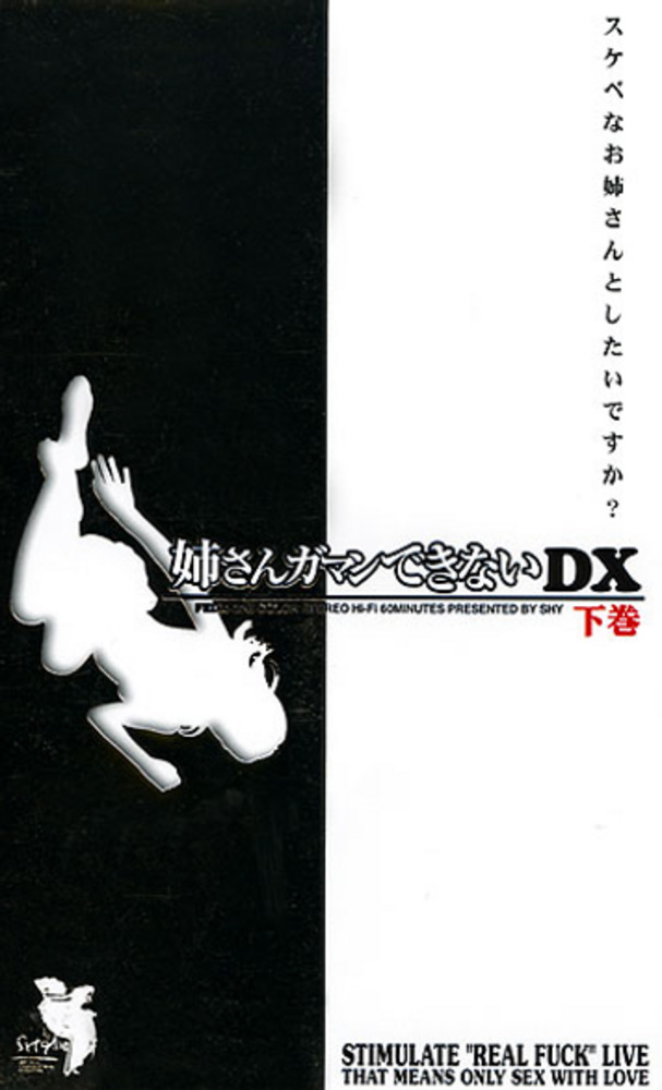 姉さんガマンできないDX 下巻