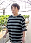 苺農家を営む五十路熟女。好きモノ熟女が自らAVメーカーに応募して初撮りAV出演！ラブホで孕ませSEX！