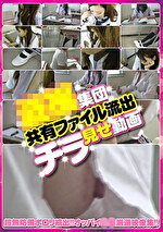 集団共有ファイル流出チラ見せ動画