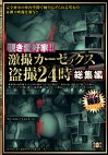 覗き愛好家！！激撮カーセックス24時総集編