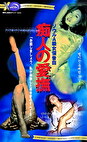 ソウルA級女優告白 痴人の愛撫