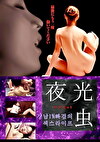 夜光虫