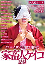 画像の説明