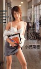 女教師の秘蜜 小沢菜穂