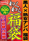 黒人熟女ナンパ 福袋 21人収録 14時間