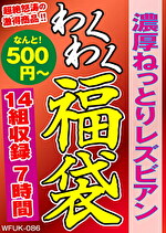 濃厚ねっとりレズビアン 14組7時間