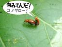 永井先生